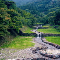 新緑の森から続く整備された川の写真