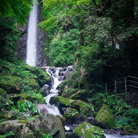 緑に囲まれた養老の滝の写真
