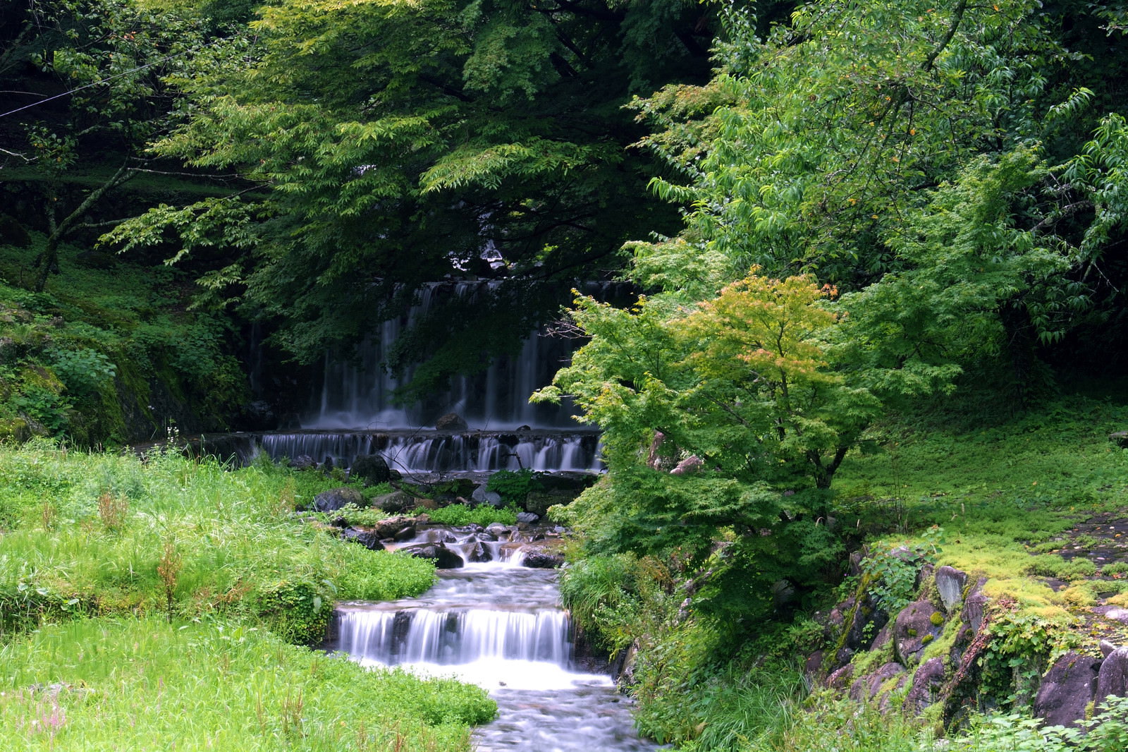 新緑の木々に囲まれた森の中を段差を流れながら落ちる滝と清流