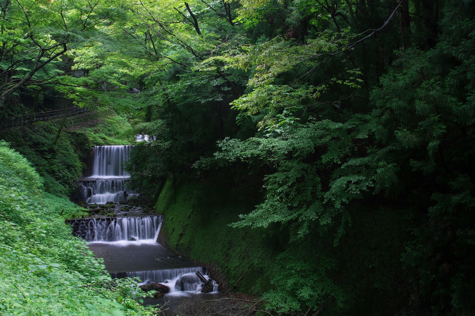 新緑に囲まれた遊歩道を流れる小川が段差を作って流れている様子
