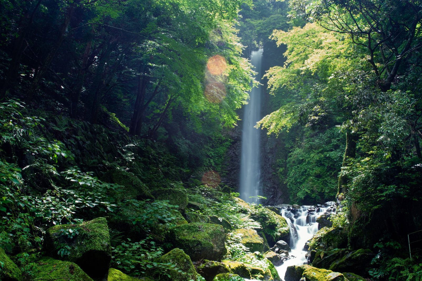 森の中を流れ落ちる滝と苔むした渓流