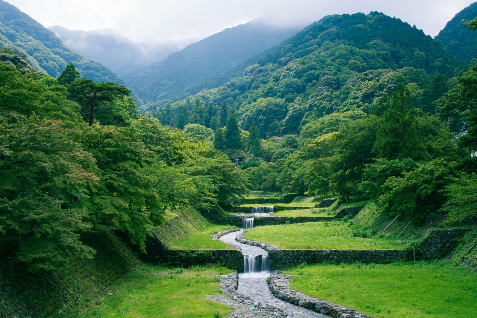 新緑の森の中を段々に流れる小川の自然風景