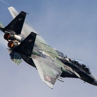 仮想敵機！！（アグレッサー）新田原基地 飛行教導隊の写真