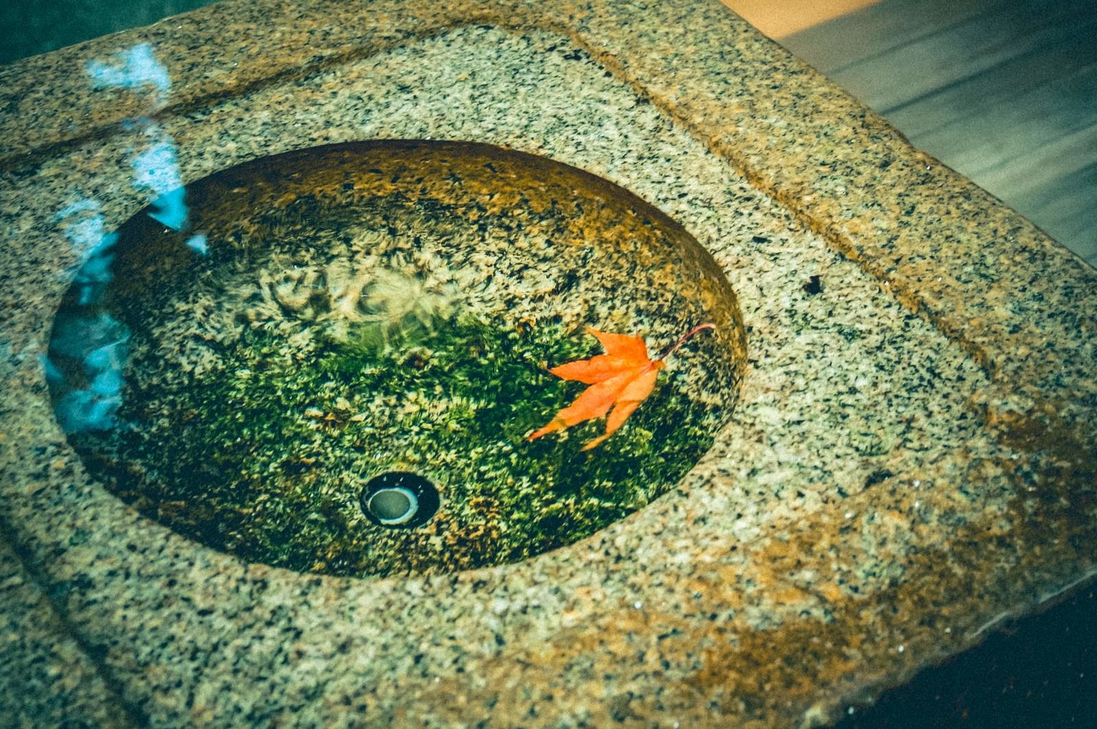 花崗岩の洗面台の排水口に落ちたオレンジの葉