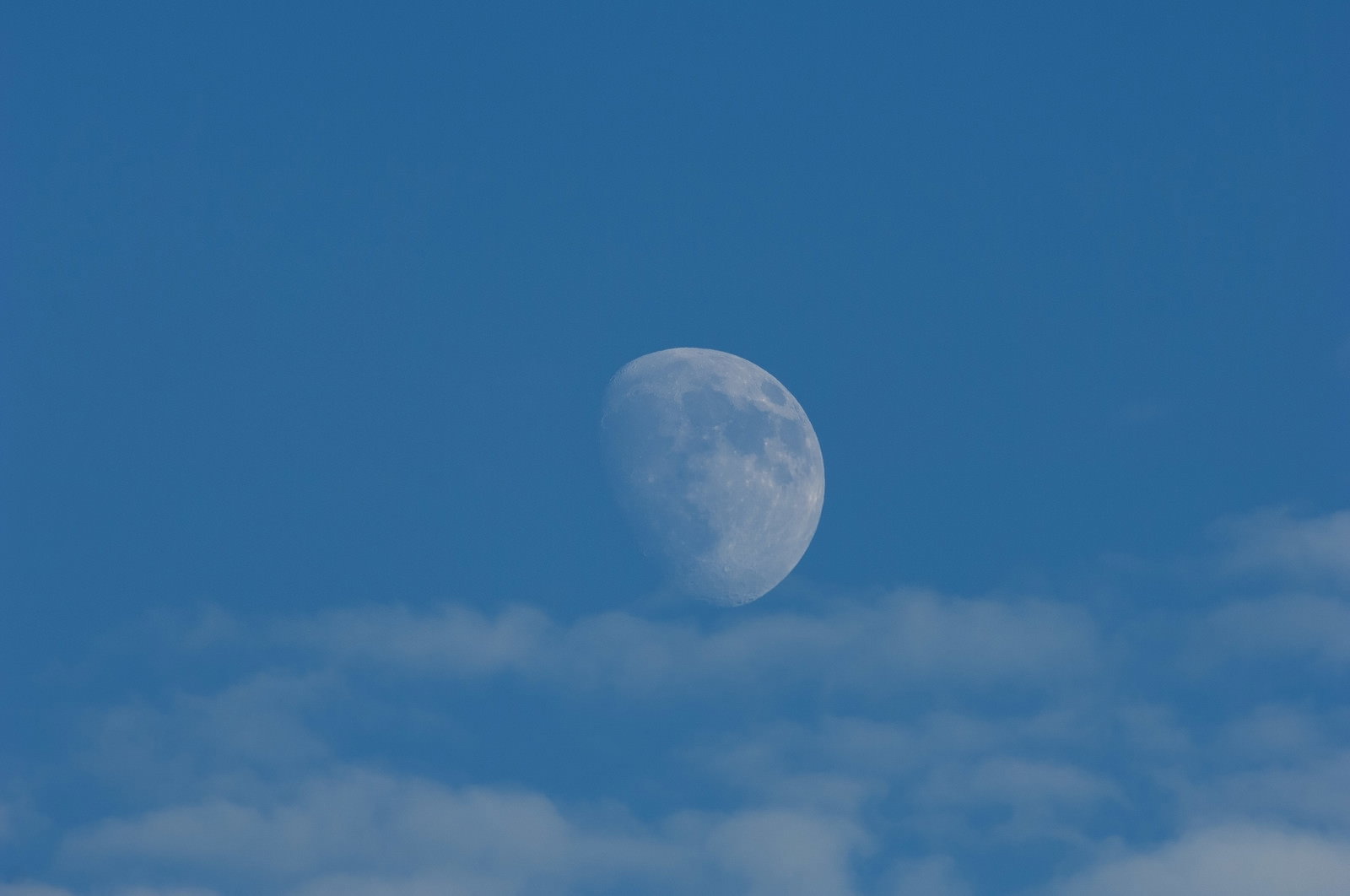 昼間の青空に浮かぶ十日夜の月