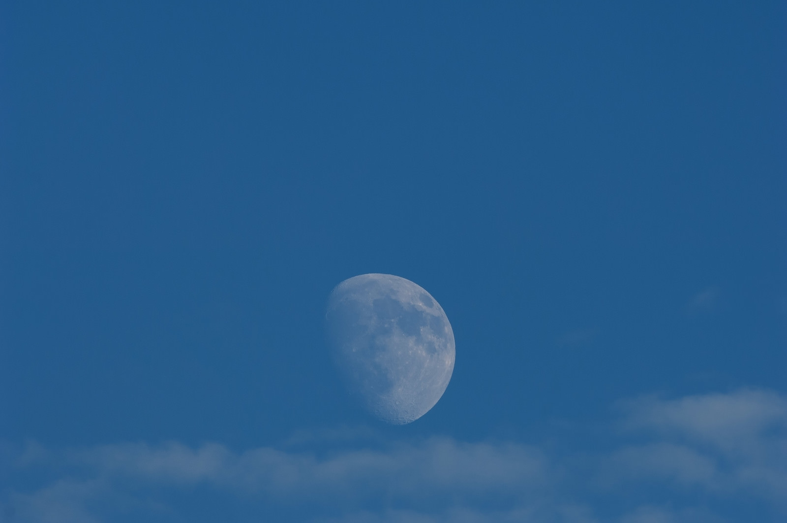 昼間の青空に浮かぶ半月