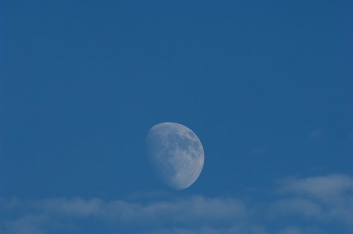 青空に浮かぶ月