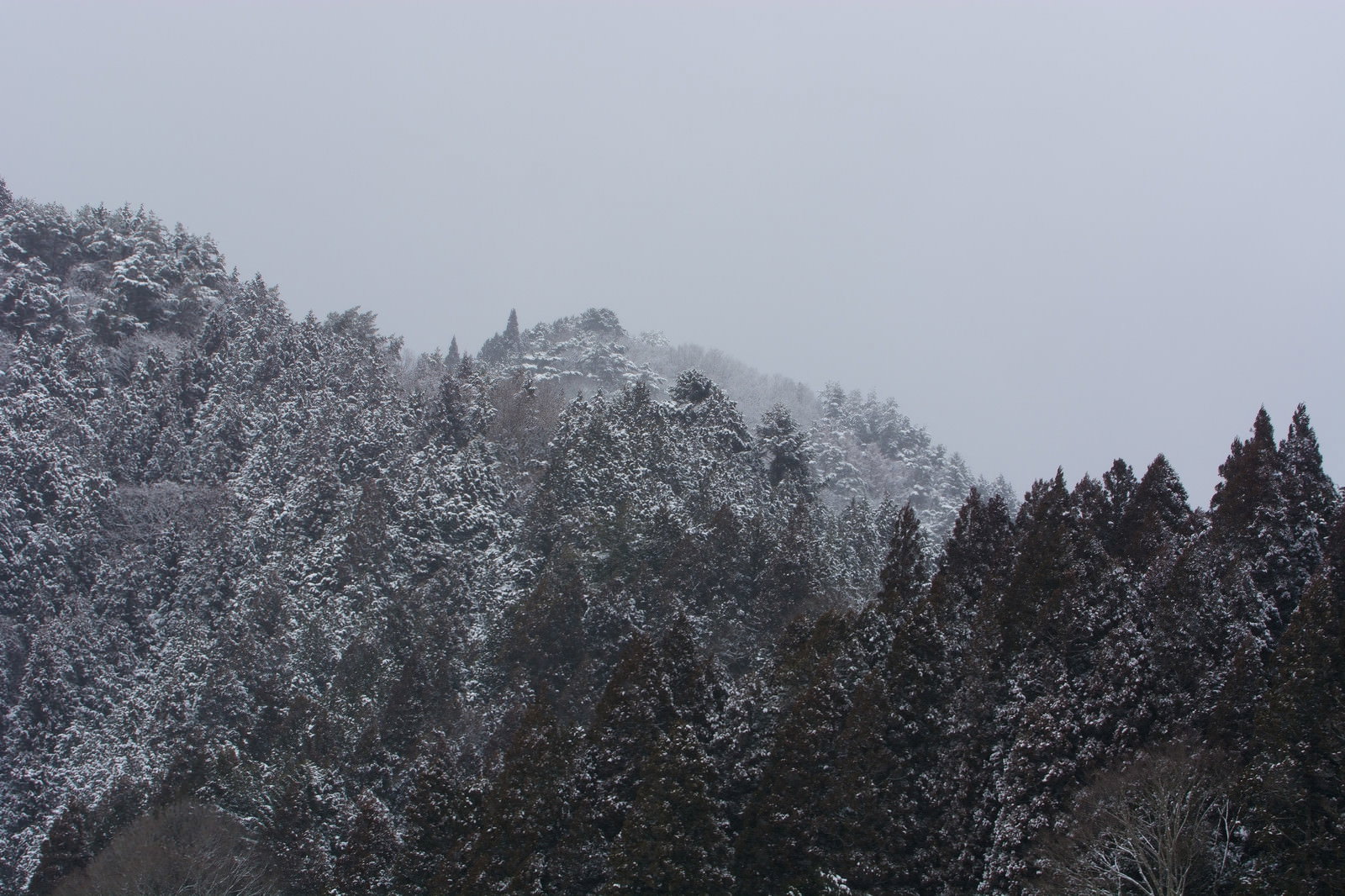 雪と霧に包まれた冬の山間風景