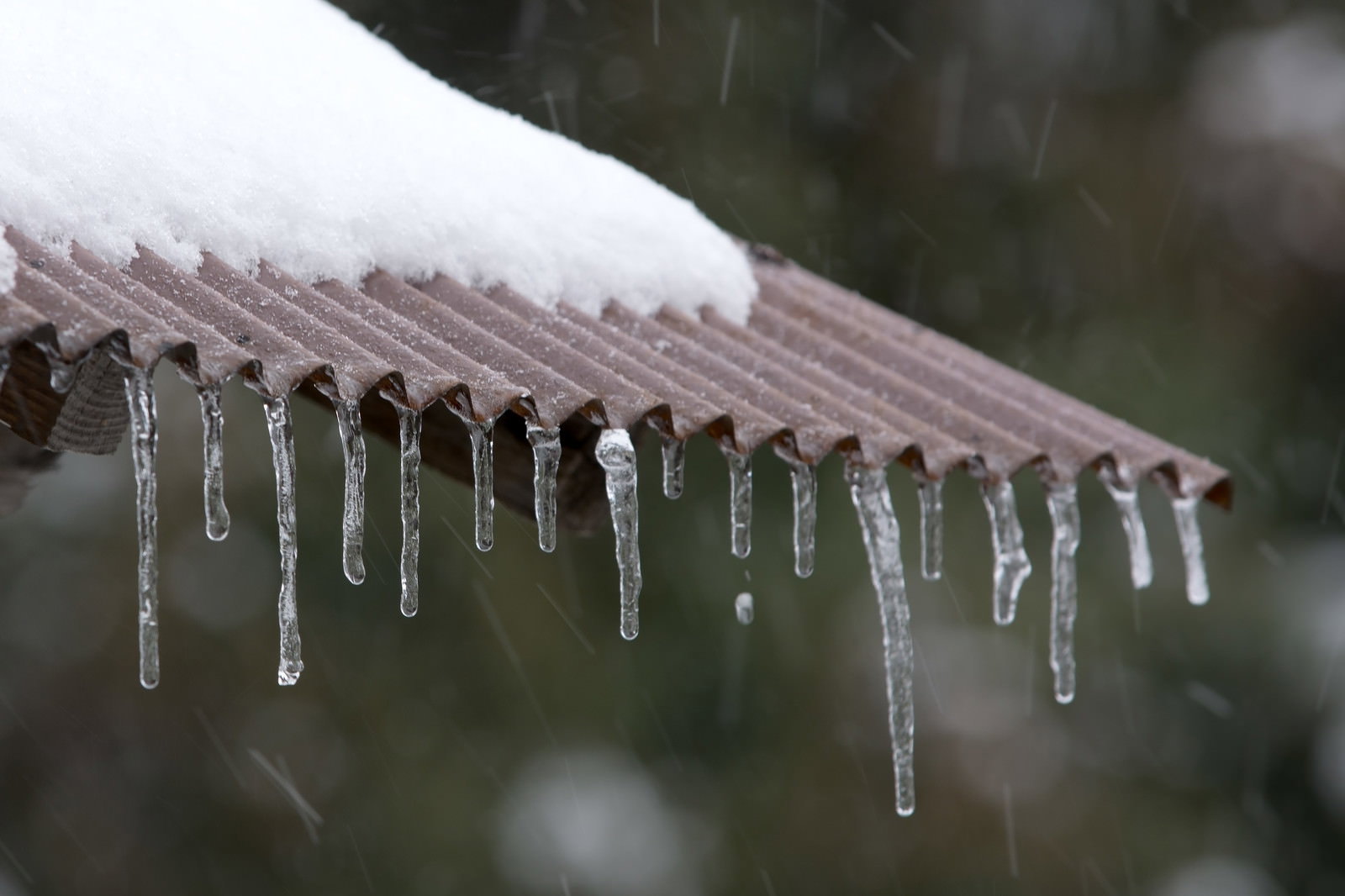 雪が積もったトタン屋根から垂れる氷柱