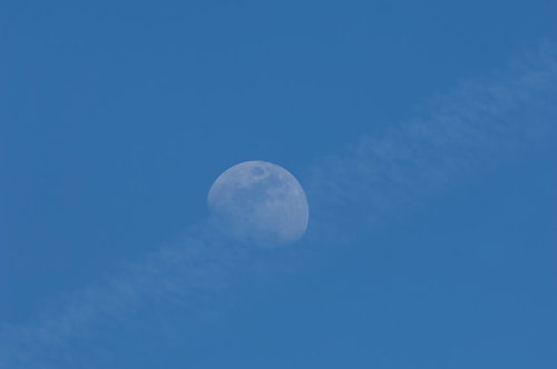 うっすらと見える月