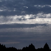 暗い森と空の間にの写真