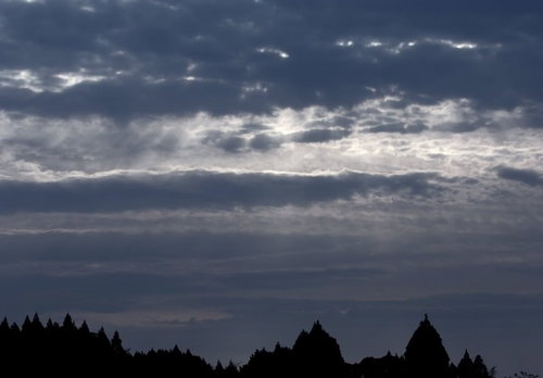 暗い森と空の間に