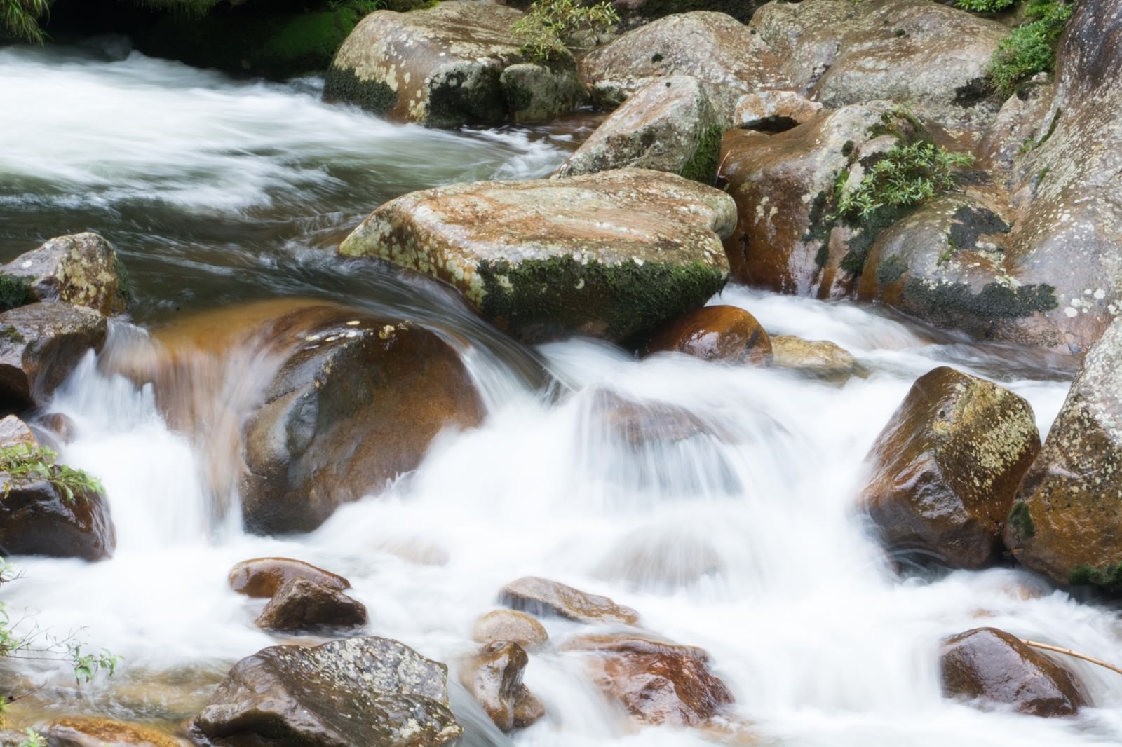 苔むした岩の間を白い水が流れる渓流
