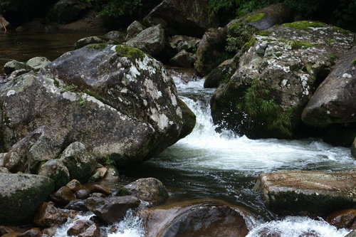 雨に濡れた渓流