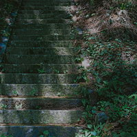 木漏れ日の階段の写真