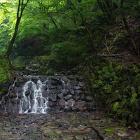 新緑を流れる川の写真