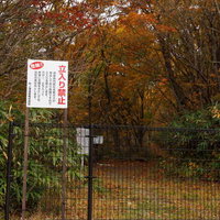 秋の沼尻登山口、紅葉の中の立入禁止看板と安全柵の写真