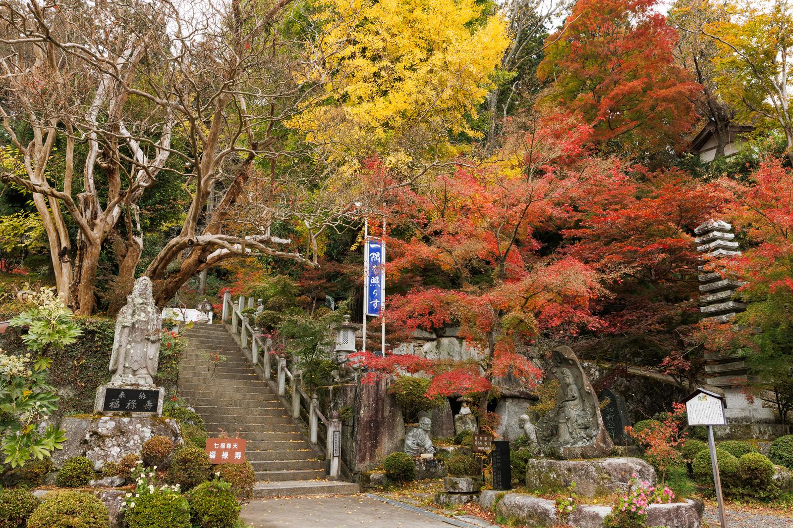 秋の岩角寺、階段の両脇に黄色と紅色に色づくモミジが枝を広げている