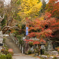 本宮市の岩角寺、秋の階段を彩る紅葉と参道の写真