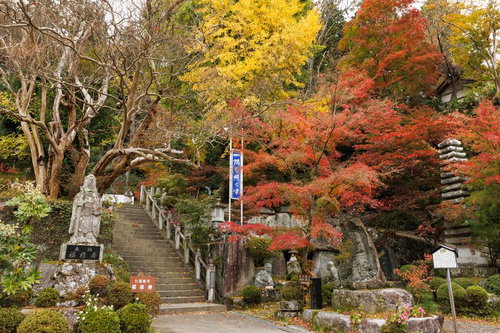 本宮市の岩角寺、秋の階段を彩る紅葉と参道