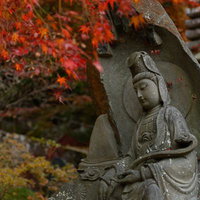岩角寺の秋、紅葉に囲まれた石造の仏像と落ち葉の写真