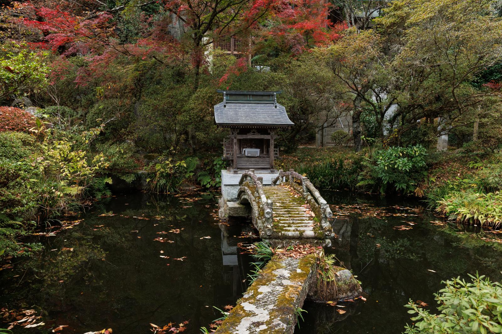 秋の紅葉に囲まれた岩角寺の心の池に映る茅葺き屋根の社殿と苔むした石橋