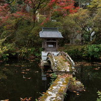 秋色に染まる岩角寺の心の池に映る境内と石橋の写真