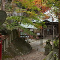 岩角寺の秋色に染まる境内と苔むした石灯籠の写真