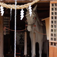 三春神社と大神宮の御神馬の写真