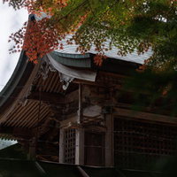 紅葉に染まった三春神社の社殿と境内の秋景色の写真