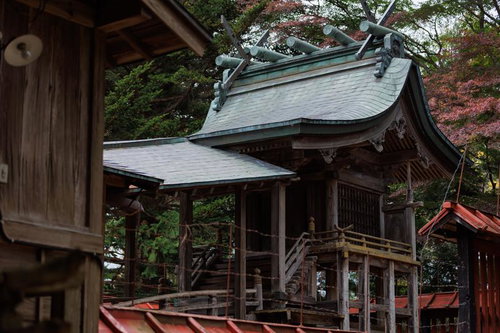 福島県三春町の三春神社境内に立つ瓦葺き社殿と紅葉