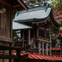 秋の三春神社境内に佇む朱色の社殿と参道の風景の写真