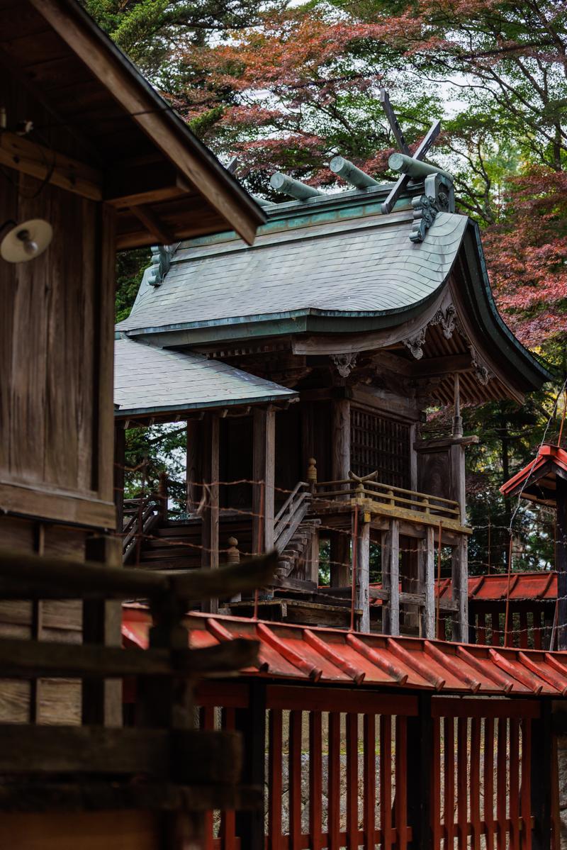 秋の三春神社境内で、紅葉する樹木に囲まれた朱色の社殿と参道