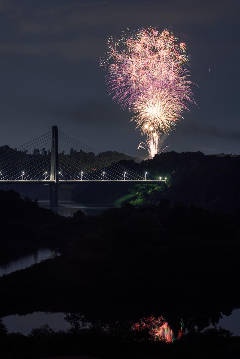 三春大橋の上空に咲く紅紫色と金色の打ち上げ花火の夜景写真