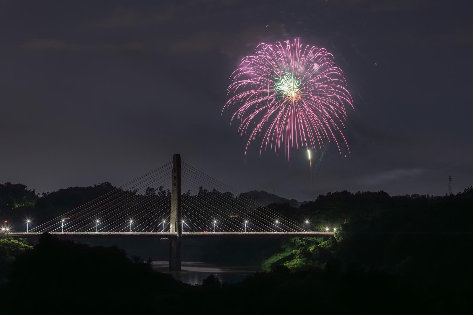 ピンク色の三春花火がライトアップされた斜張橋の上で打ちあがる夜景