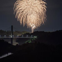 三春大橋と夜空に咲く三春花火大会の打ち上げ花火の写真