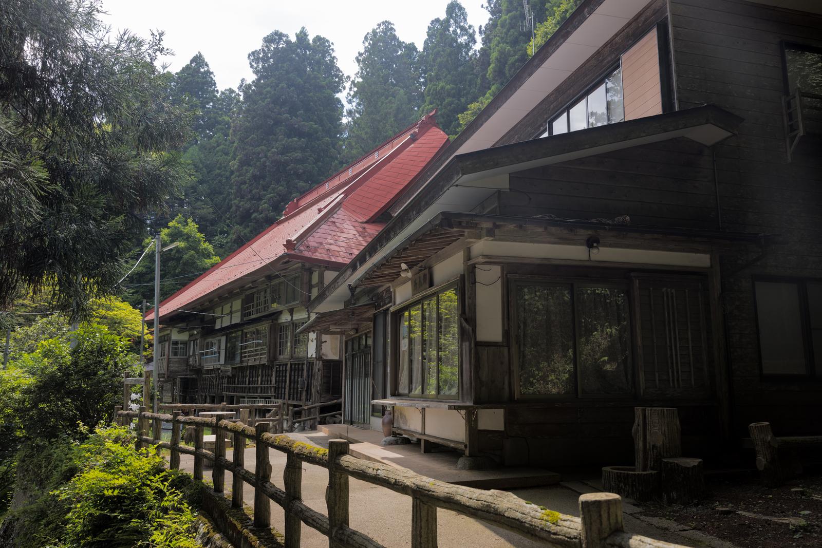 赤い瓦屋根と杉林に囲まれた寺院建物と木製柵のある参道