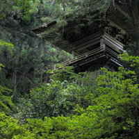 東堂山満福寺の静かな境内を包む樹林と鐘楼の写真