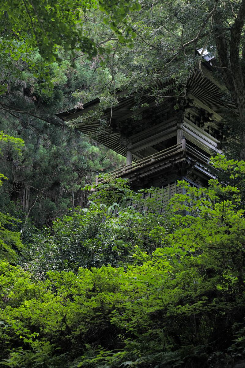 樹林に囲まれた東堂山満福寺の鐘楼。古い木造建築が緑に包まれている