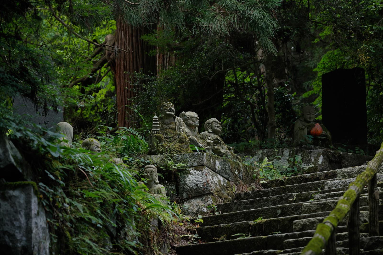 苔むした石段に置かれた複数の羅漢石像と古木に囲まれた寺院境内