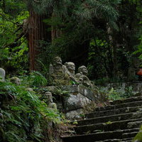 東堂山満福寺の石段に佇む羅漢石像と古刹の参道風景の写真