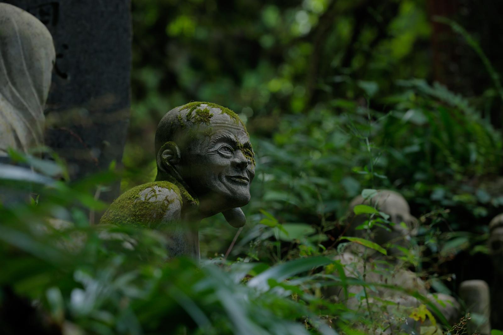 東堂山満福寺の境内で苔むした羅漢の石像が緑に囲まれている
