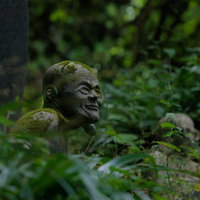 苔むした石像が緑に包まれた東堂山満福寺の草影の羅漢の写真