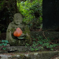 東堂山満福寺参道脇の苔むした羅漢石像と歴史的境内風景の写真