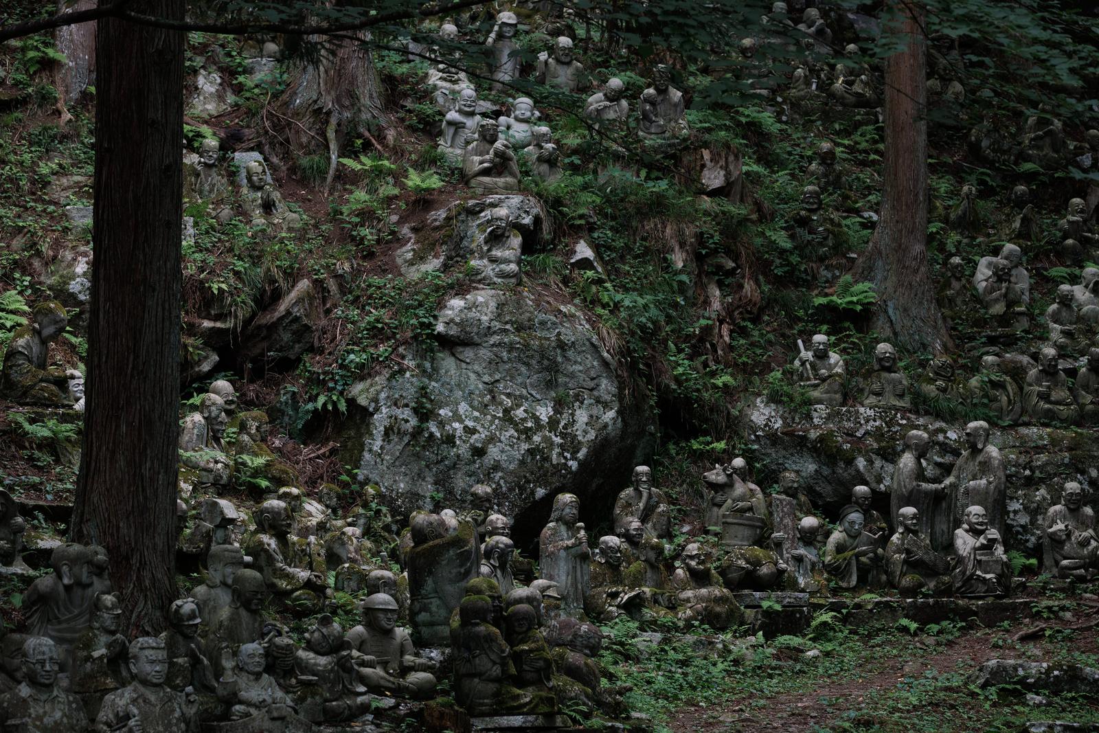 福島県小野町の東堂山満福寺の境内に多数安置された苔むした羅漢の石像