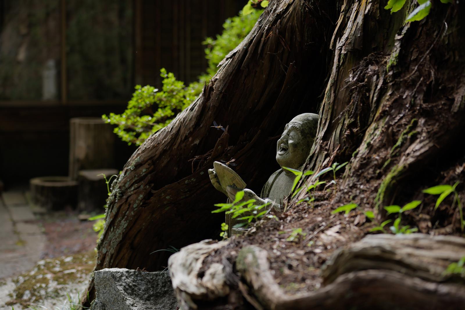 朽木に囲まれた古い羅漢石像。苔むした木と緑の葉に覆われた寺院の境内