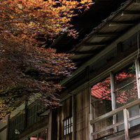 夜間ライトアップされた東堂山満福寺の紅葉と古い建物の写真