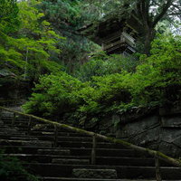 東堂山満福寺の境内、古木に包まれた石段と鐘楼の写真