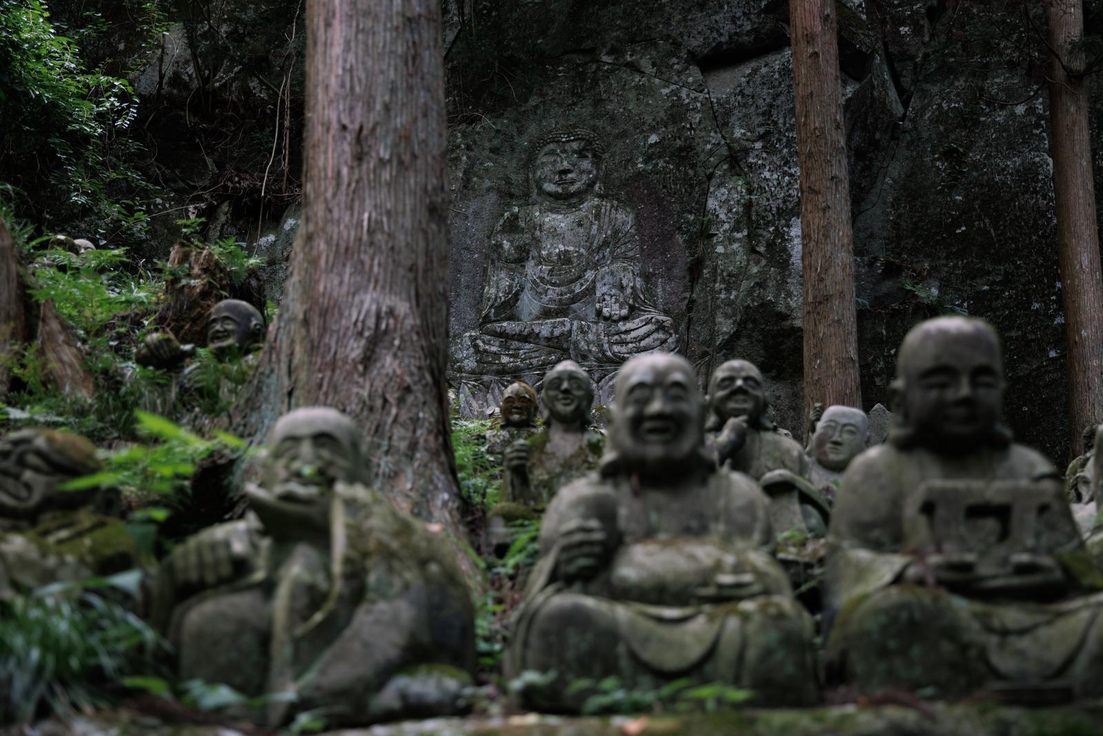 苔むした岩壁に彫刻されたお釈迦様と手前に並ぶ石造の羅漢像