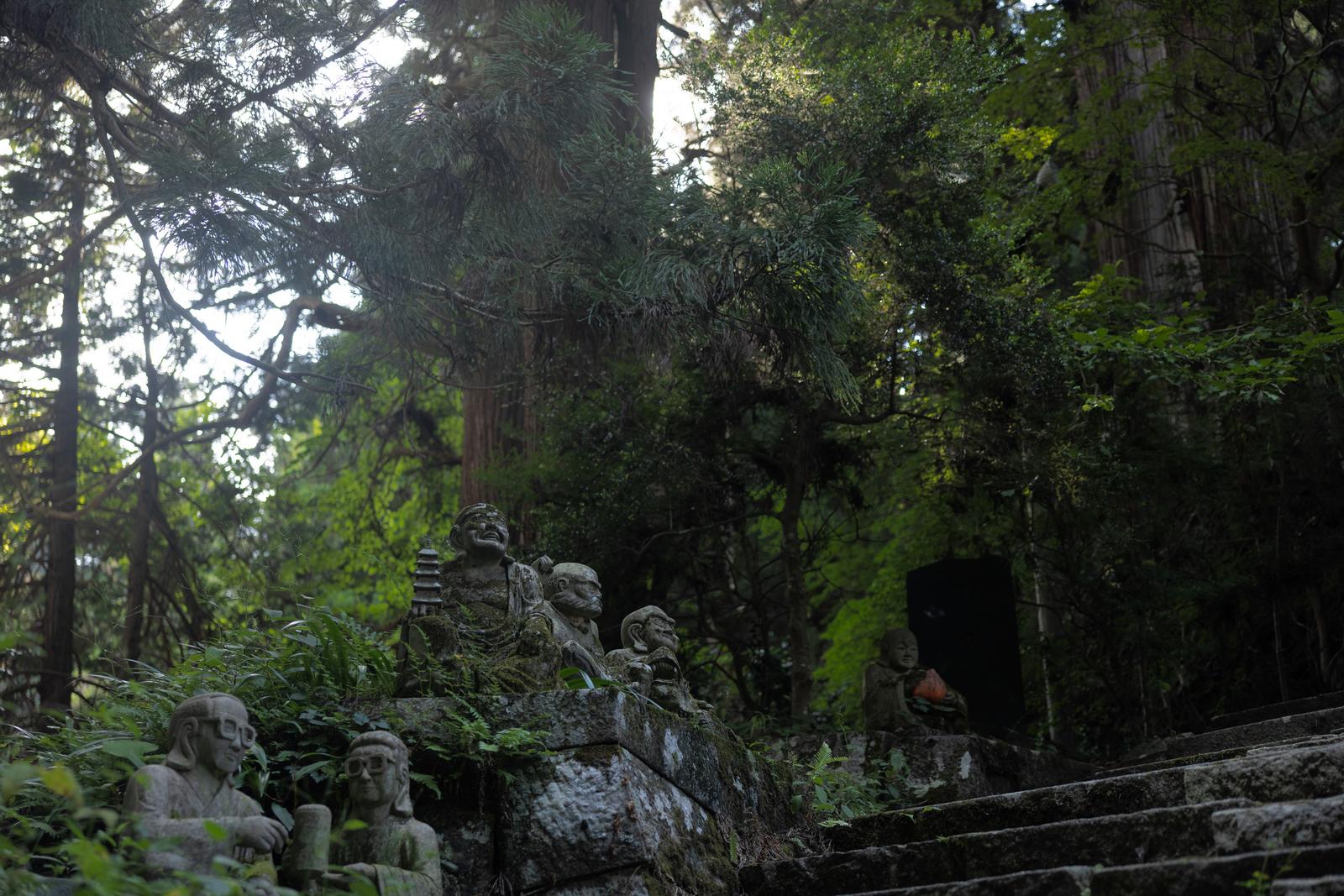 苔むした杉林に囲まれた古い寺院の参道に置かれた石造りの羅漢像